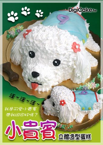 小貴賓 造型蛋糕